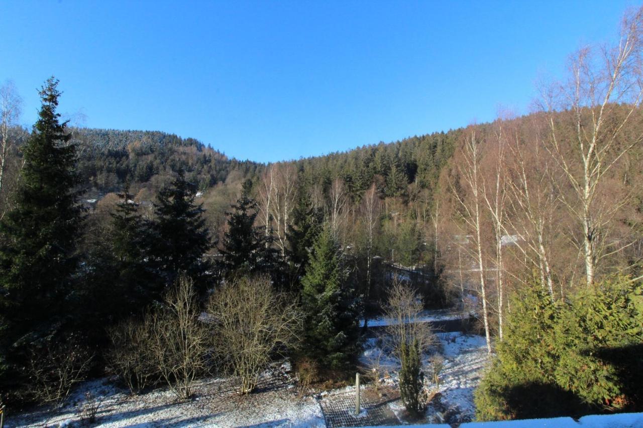 Home-Im-Harz Lautenthal Exteriör bild